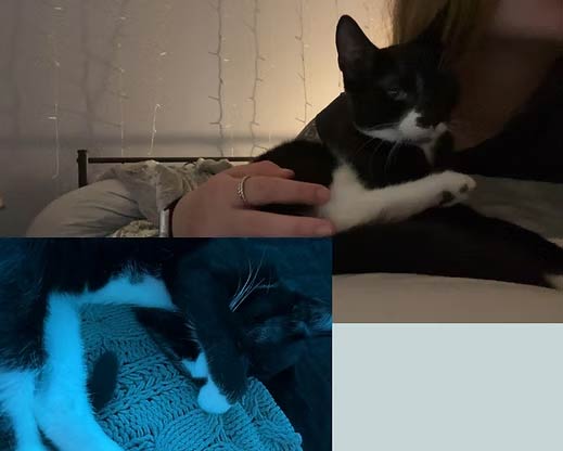 Sox